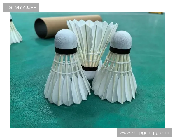 羽毛球球头双拼球头